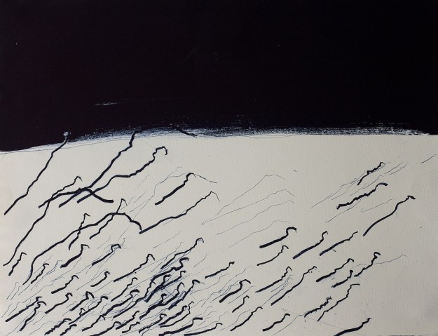 Lithography 50 x 65 cm 2013