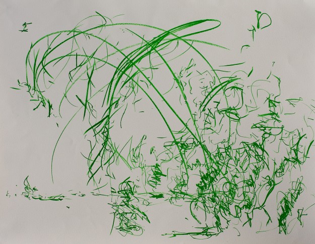 Lithography 50 x 65 cm 2013