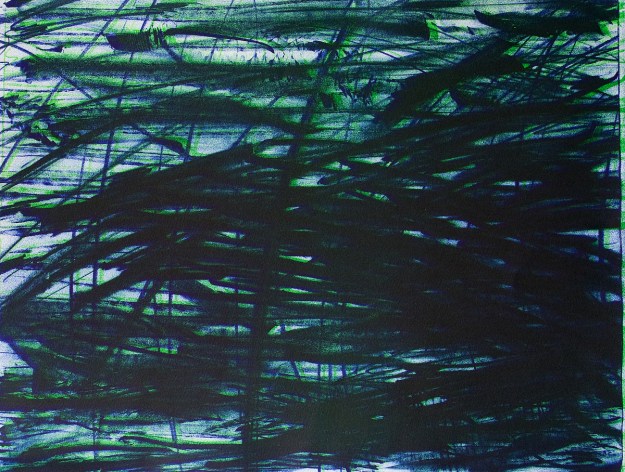 Lithography 30 x 40 cm 2010