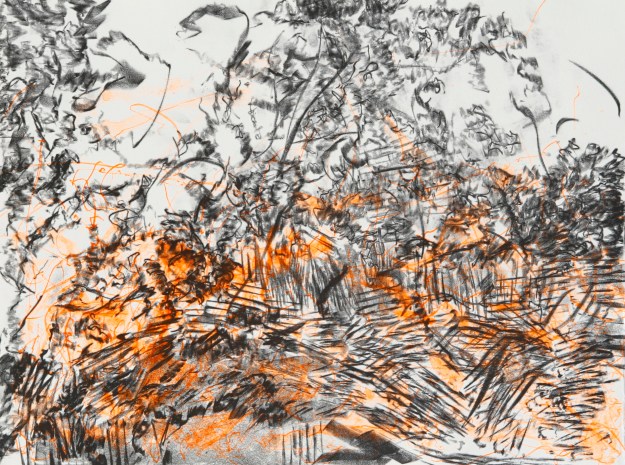 Lithography 30 x 40 cm 2010