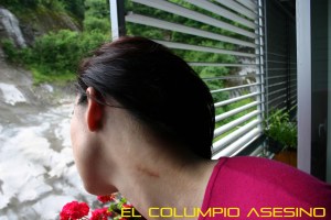 el columpio asesino BLOG