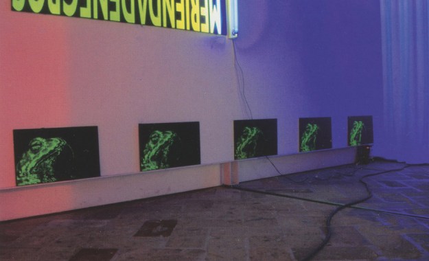 Sapos Serigrafía sobre PVC 30 x 50 cm 2003 Encuentros de Gráfica, Ciudadela 2003