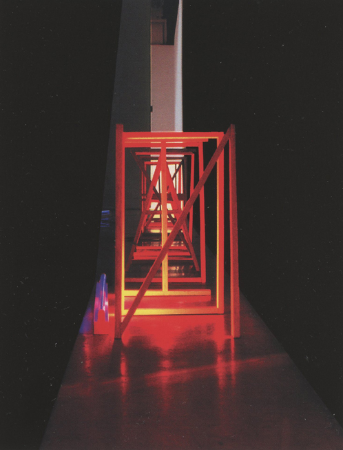 Autocanibalización Vista Posterior Galería Moisés Pérez de Albeniz, 2003