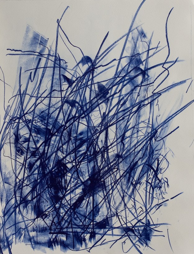 Lithography 30 x 40 cm 2010