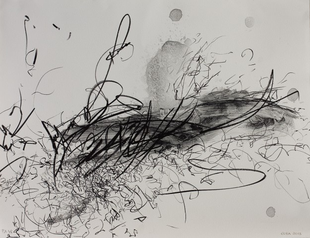 Lithography 50 x 65 cm 2013