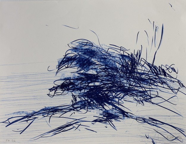 Lithography 50 x 65 cm 2013