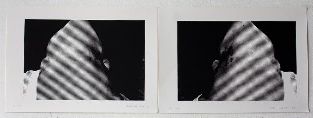 Serigraph 30 x 40 cm + 30 x 40 cm 2008