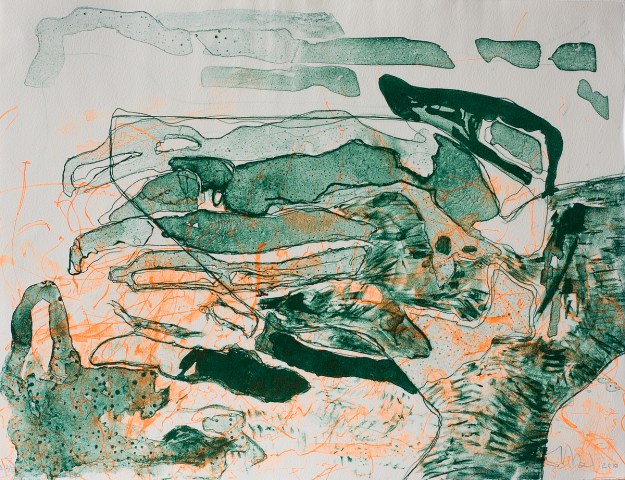 Lithography 30 x 40 cm 2010