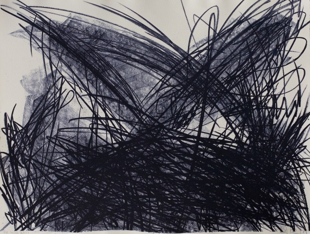 Lithography 30 x 40 cm 2010