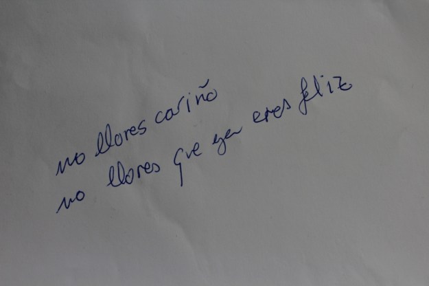 no-llores-caric3b1o-2015