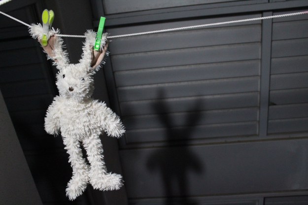 18006 conejito-tendido-2015