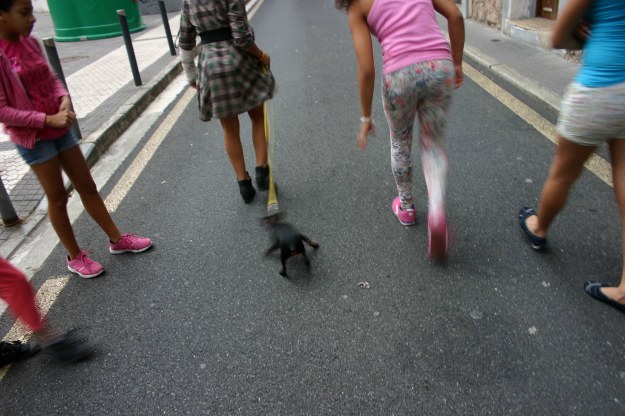 18011 chicas-con-perrito-pasajes-oct-2014