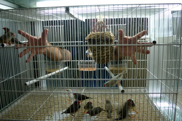 18017 exc3b3ticos-1-2014