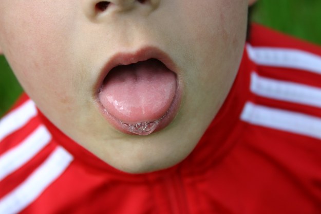 26003 eder-lengua-2015