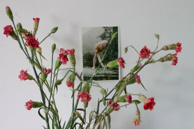 26012 tillmas-y-claveles-2015