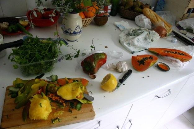 26014 casa-de-elena-reunic3b3n-una-imagen-brutal-2015