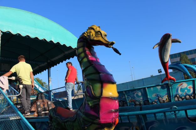 27017 caballito-de-mar-irc3ban-2015