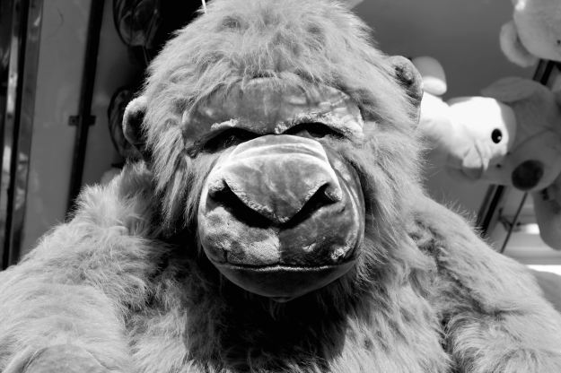 27018 monito-feria-de-irc3ban-2015