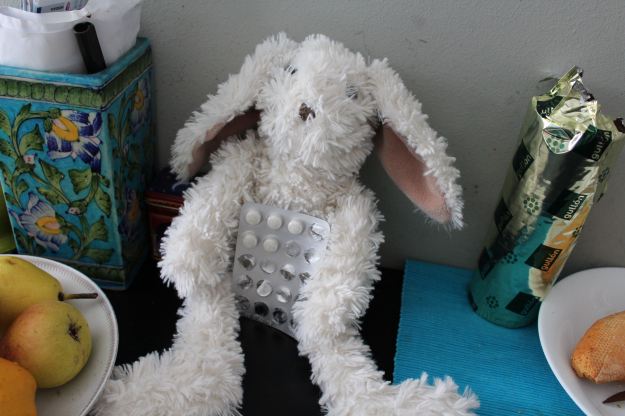 27020 osito-y-pastis-2015