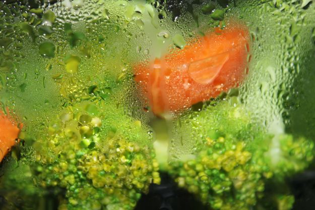 27021 brc3b3coli-2015