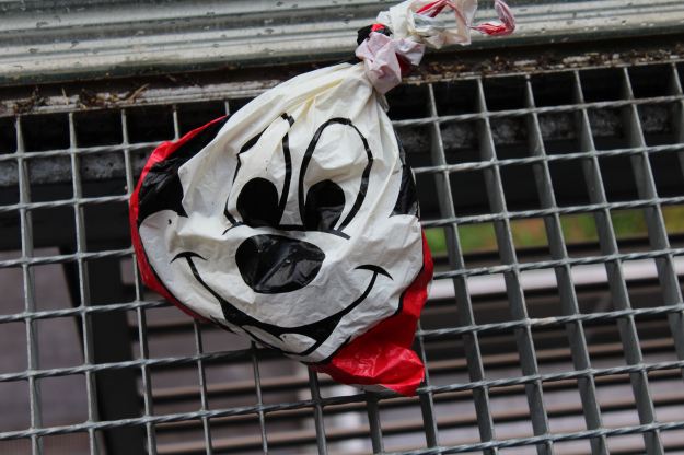 27023 miki-mause-2015