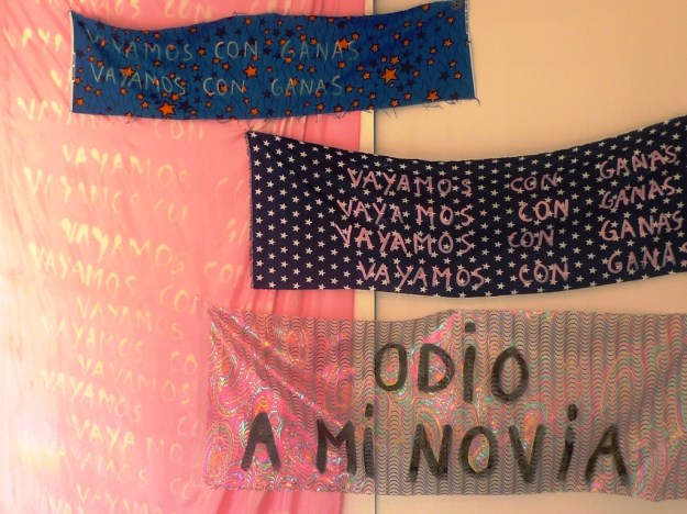 11 Vayamos con ganas 2015