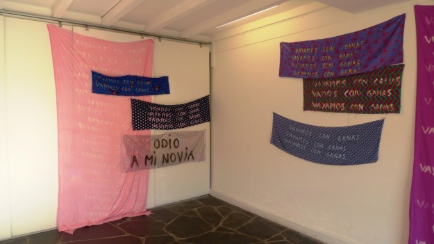 5Vayamos con ganas 2015