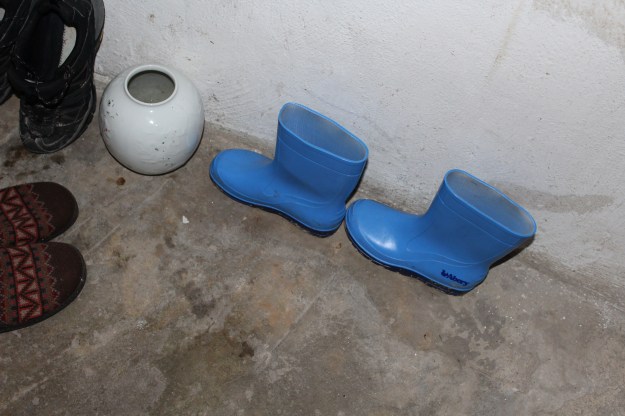 botas azules 2016- baja