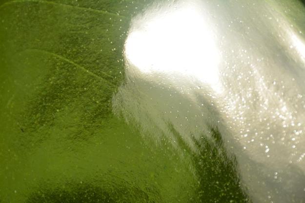 las-landas20-2016-baja