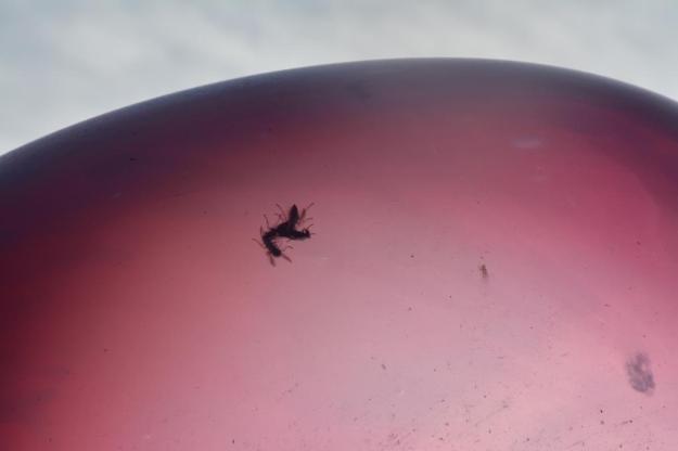 las-landas21-2016-baja