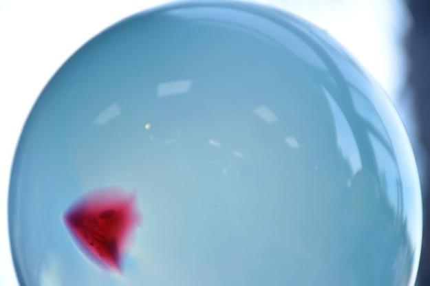 las-landas32-2016-baja