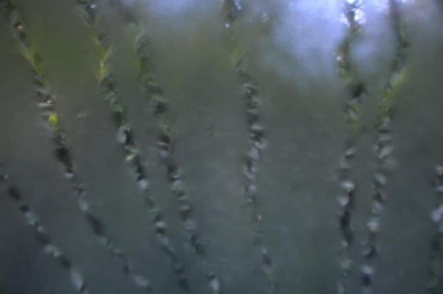 las-landas4-2016-baja