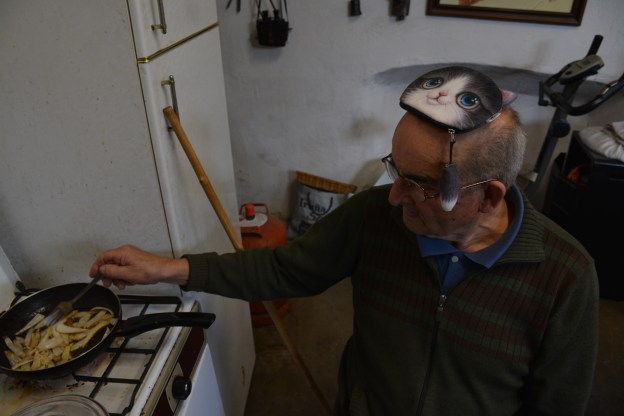 papa-con-gatito-2016