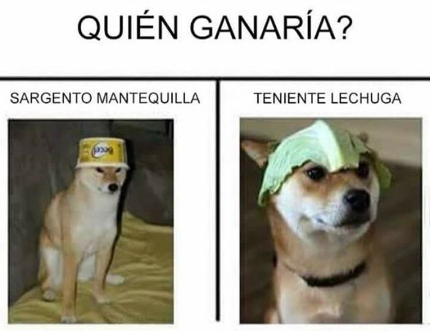 19437642_10211049559848583_2723380399853745830_n