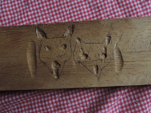 zorritos de teo de cerca