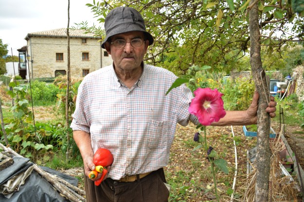 papa con pimientos y flores